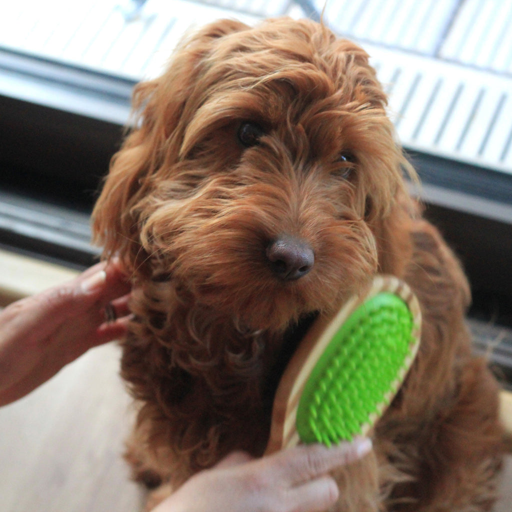 PurePaws™ | Double-Sided Bamboo Pet Brush